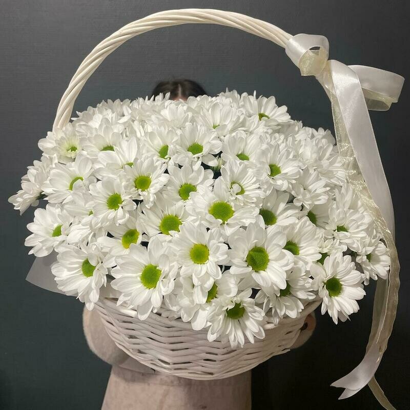 Korzina hrizantem, premium