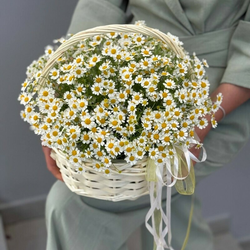 Корзина с ромашками (танацетумом), стандартный