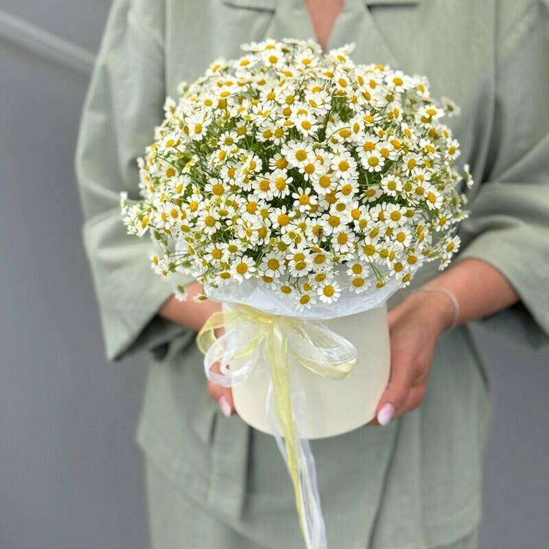 Шляпная коробка с ромашками, стандартный