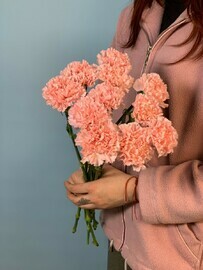 11 диантусов