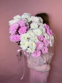 Хризантема кустовая 15 веток 