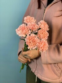 7 диантусов