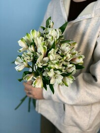 7 альстромерий