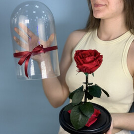Роза в колбе
