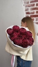 11 одноголовых хризантем