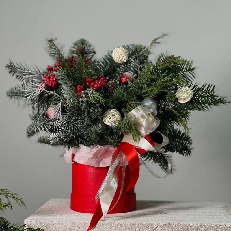 Zimnyaya skazka, standart