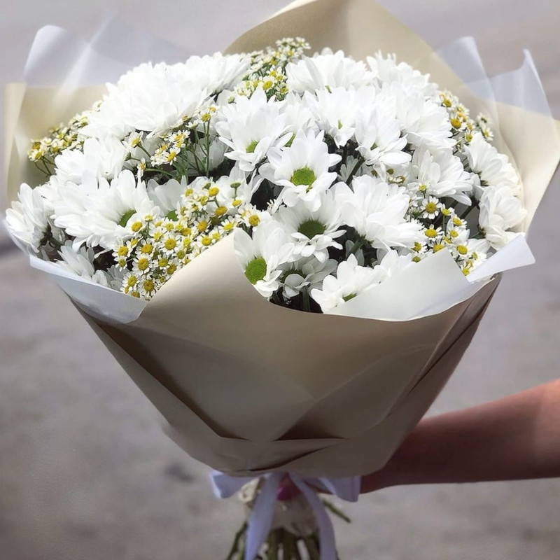 Ромашки, ромашки