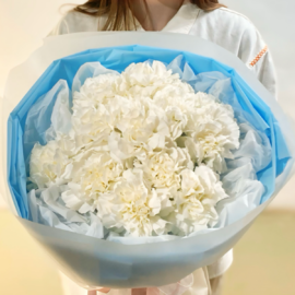 Облако нежности