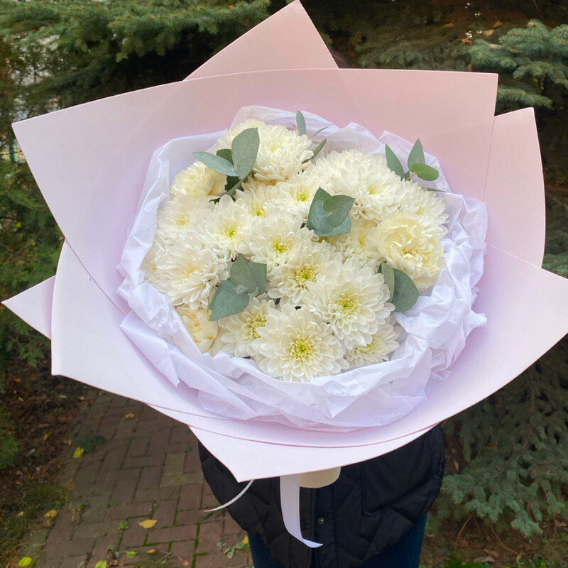 Вивьен, стандартный