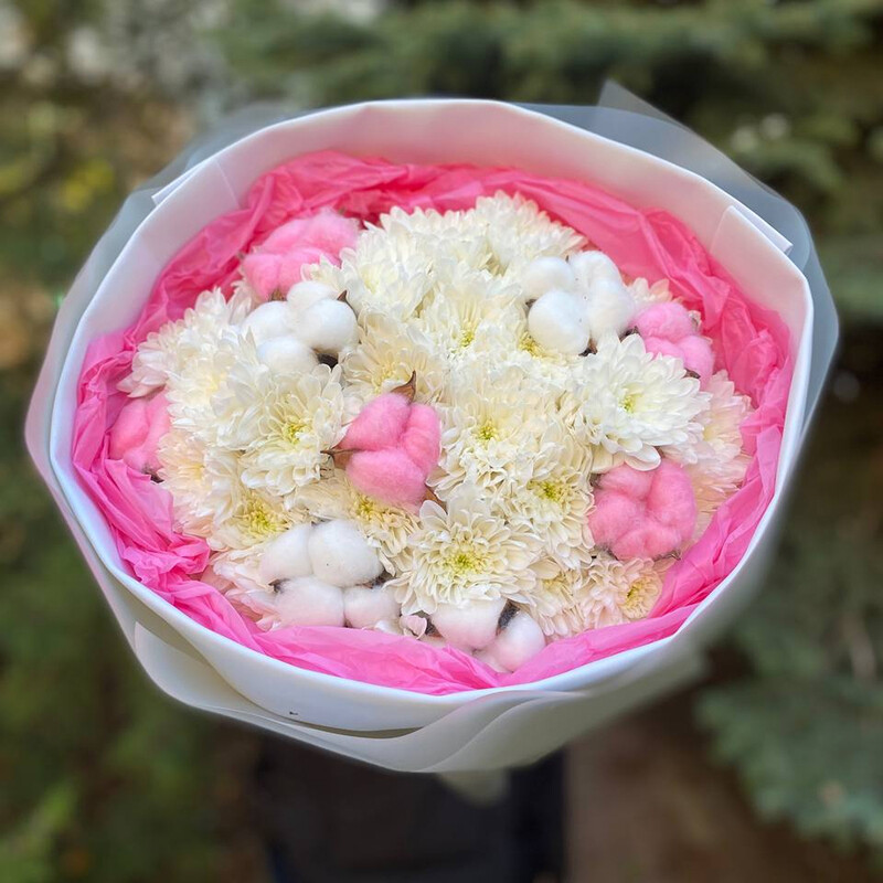 Богемия, стандартный