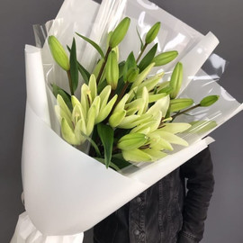 Neozhidannaya vstrecha