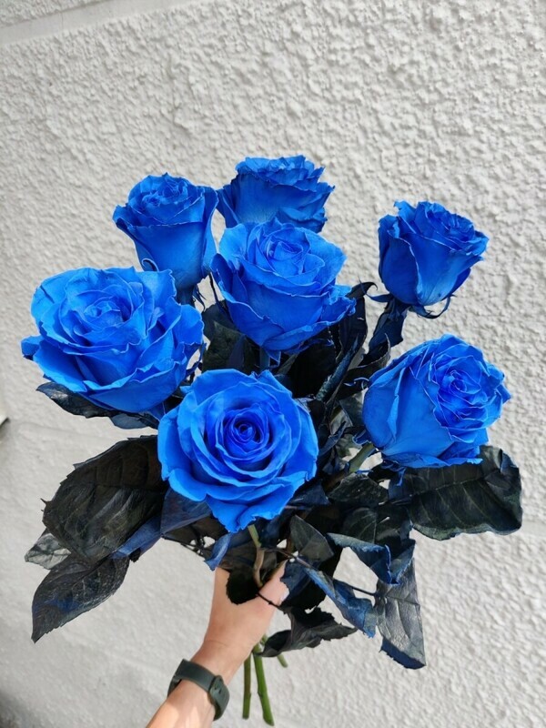 Roza sinyaya, standart