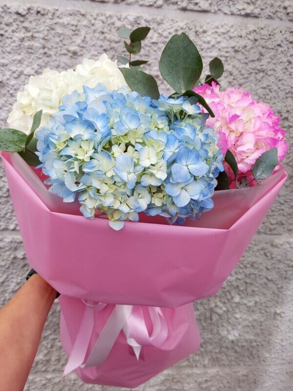 Buket iz gortenzii, standart