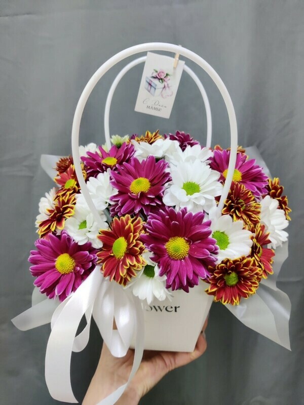 Korobochka romashek miks, standart