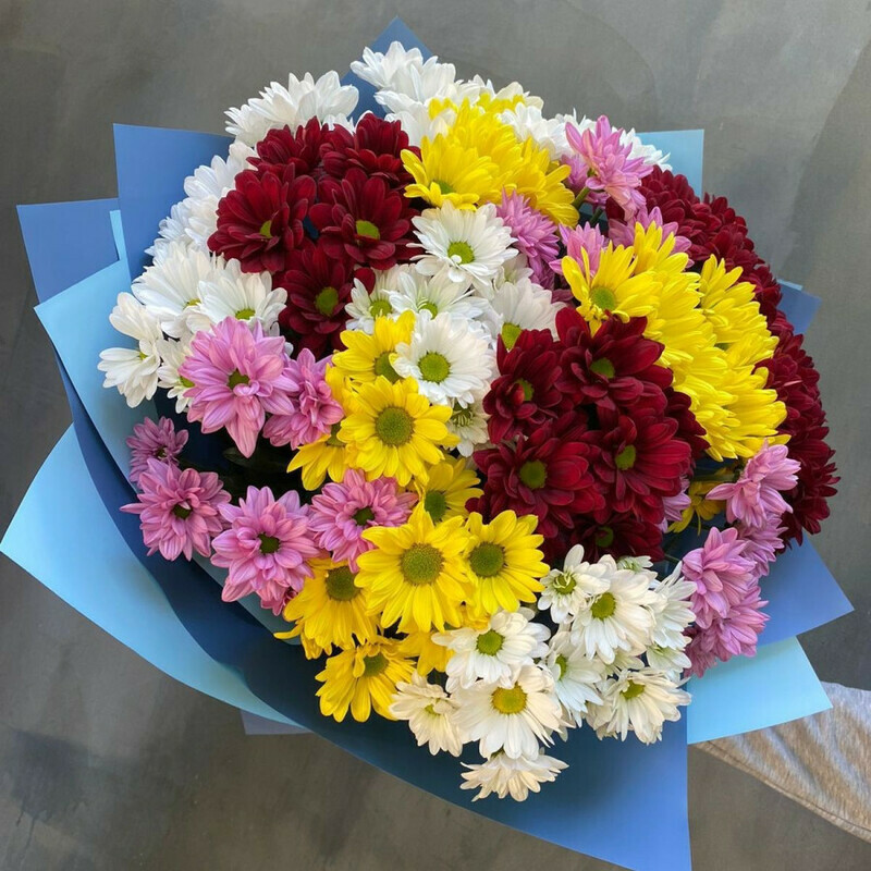 Яркие хризантемы, стандартный