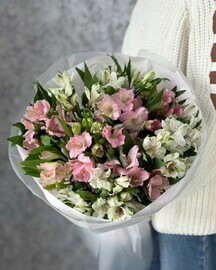 Mono bouquet of alstroemeria size M