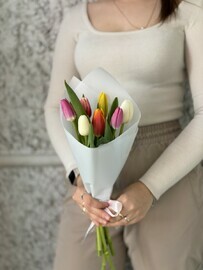 Букет Тюльпанов 7 шт 