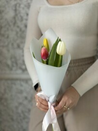 Букет тюльпанов 3 шт