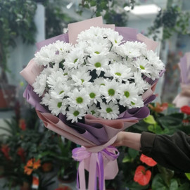 Любимые цветы