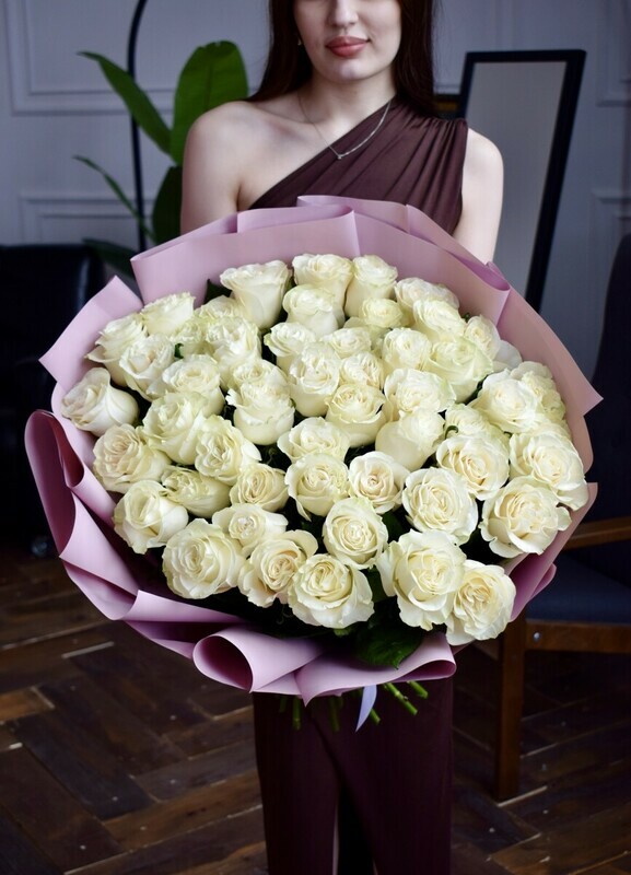 Belie rossipi, standart