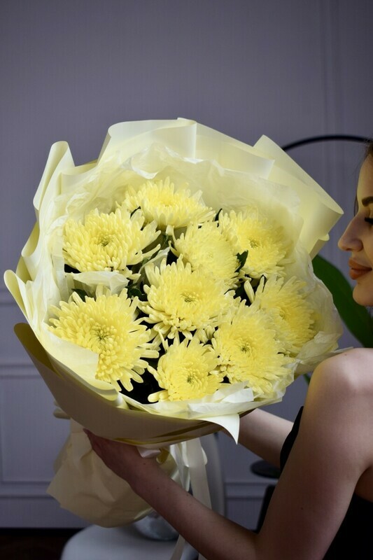 Rozovie oblaka, standart