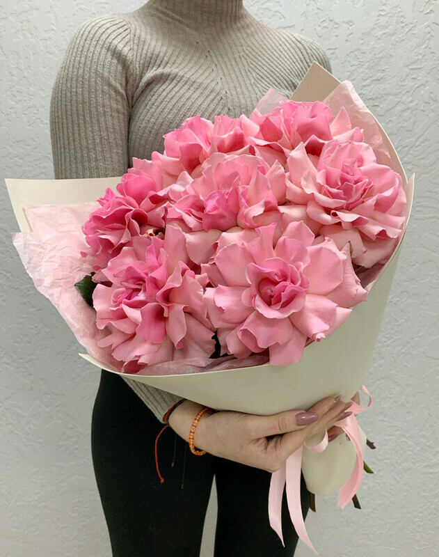 Dzheral_dina, standart