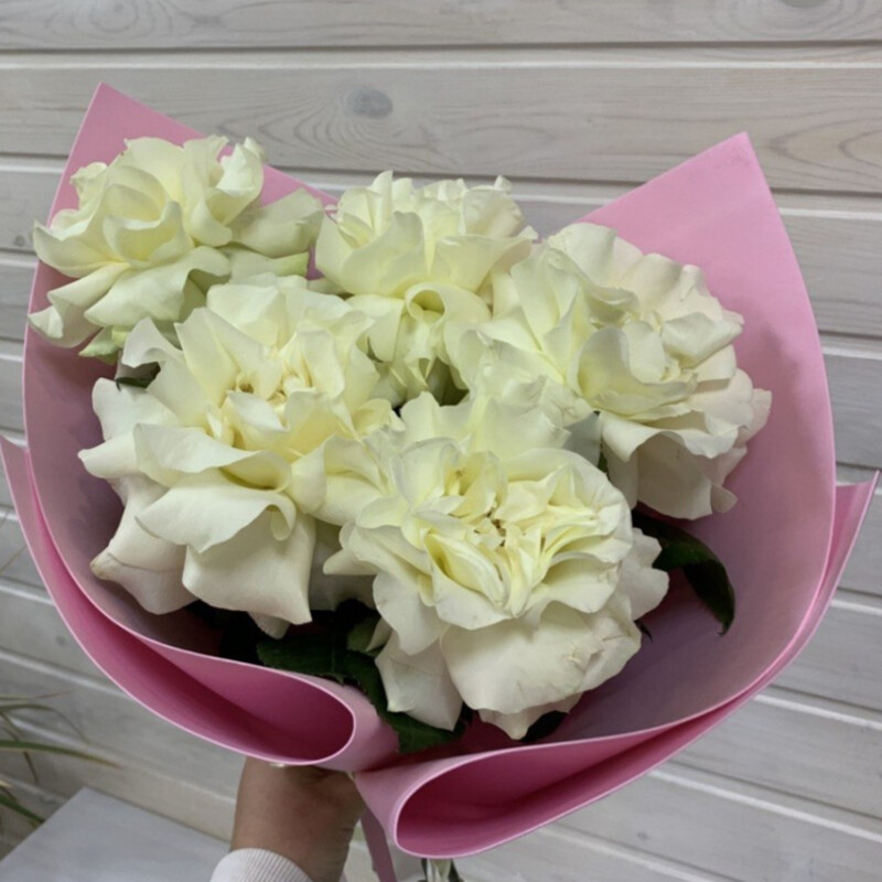 Мондиаль, стандартный