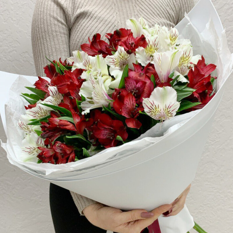 Torzhestvennij moment, standart