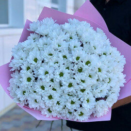 Bouquet of 19 Bacardi chrysanthemums