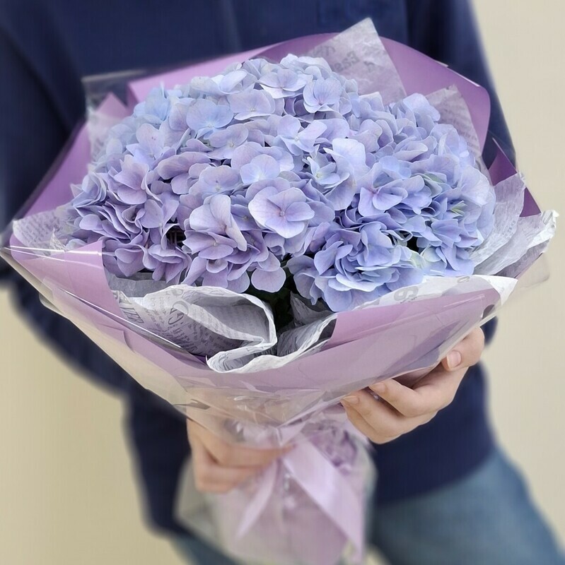 Buket  iz gortenzii., standart