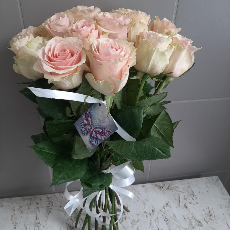 15 svetlih roz, standart