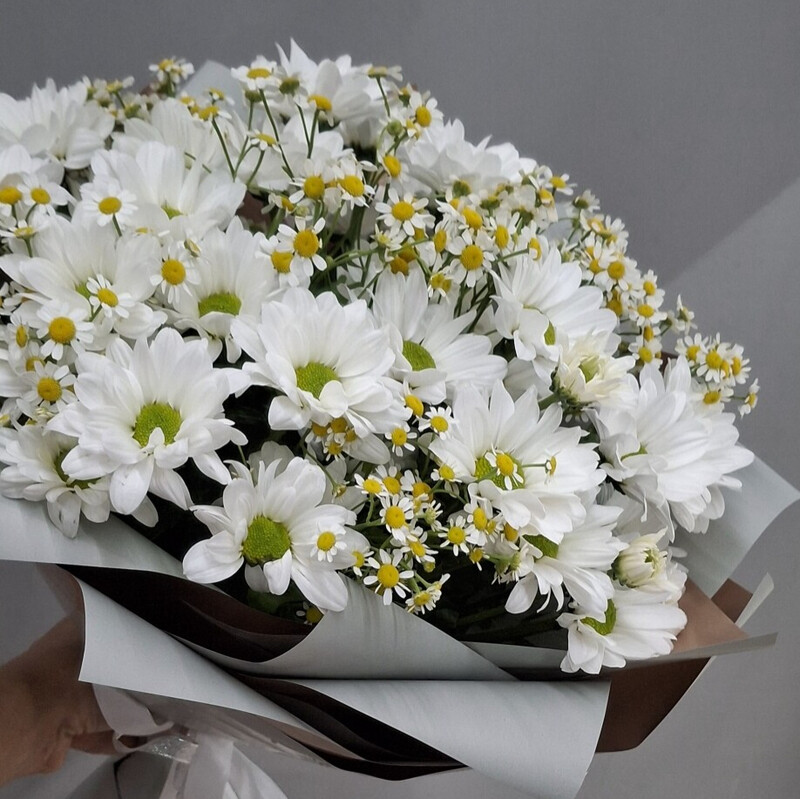 Букет из ромашек. , стандартный