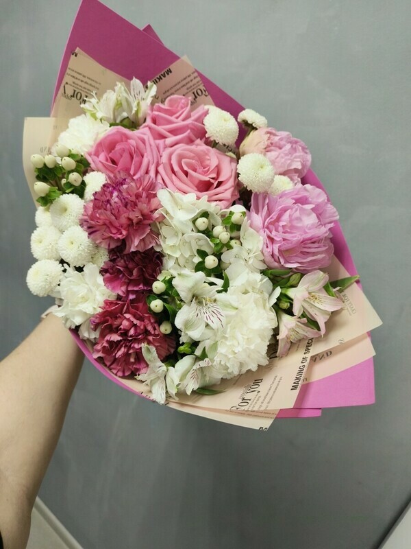 Сны Изабель, стандартный