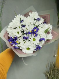 Будет " Бриз"