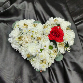 Kompozitciya Ti moe serdtce