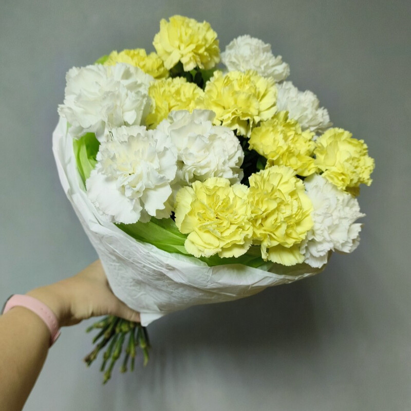 Budet iz 15 diantusov, standart