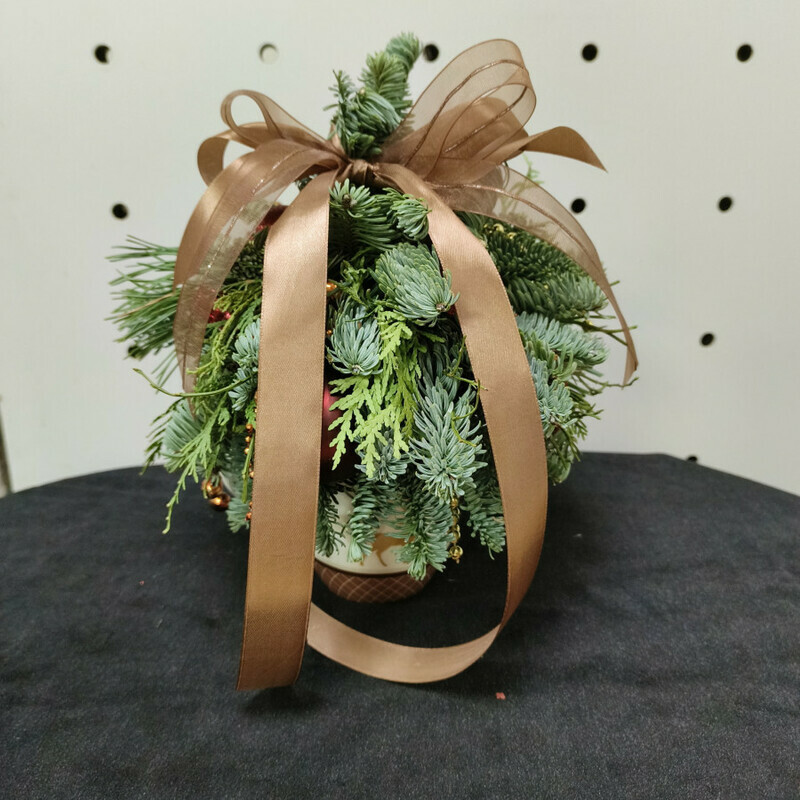 Elka novogodnyaya, standart