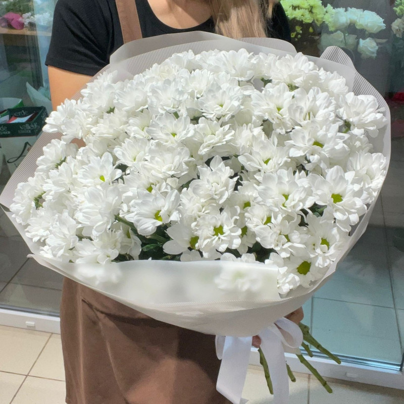 Oblako iz romashek, standart