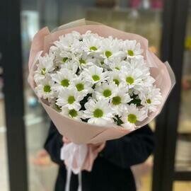 Monobuket hrizantem Bakkardi