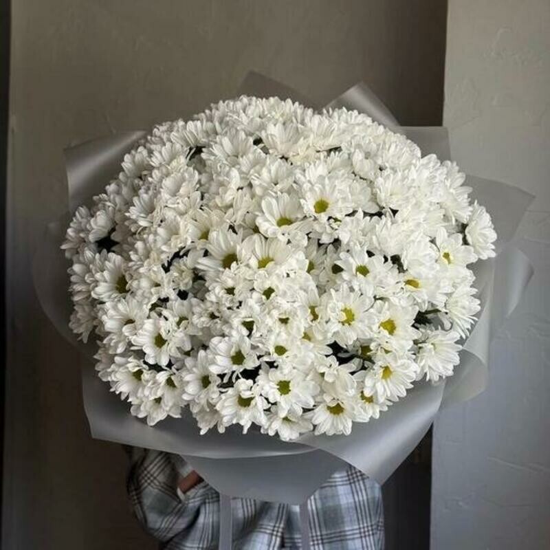 Mono buket iz hrizantemi romashki, luxe