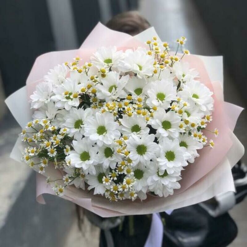 Летний день, стандартный