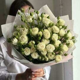 Монобукет кустовых роз «Белая луна»