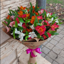 Прекрасное начало