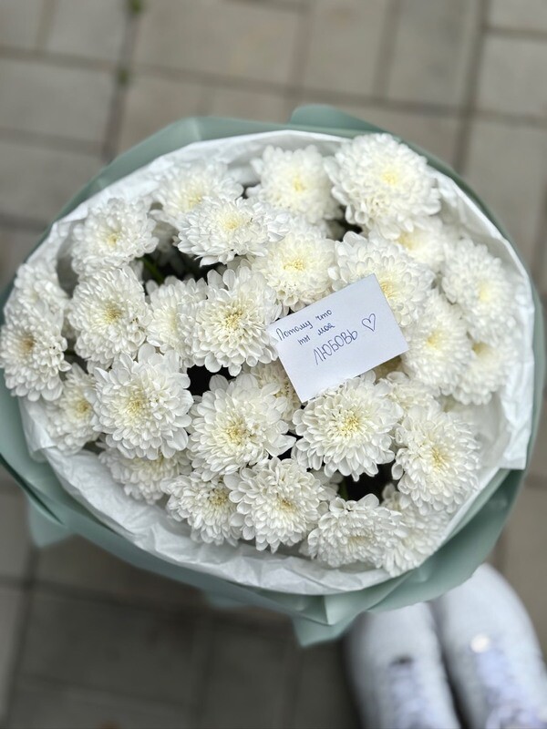 Белоснежка, стандартный