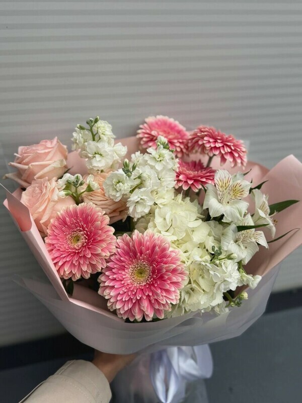 Причуды принцессы, стандартный