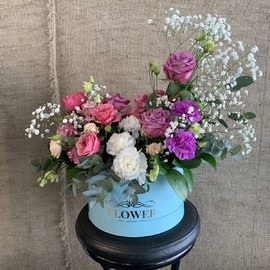  Мадам Жу Жу