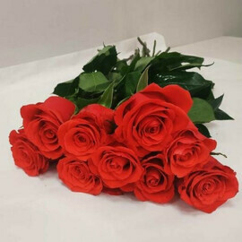 Букет из 9 роз