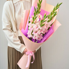 Pink Gladioli