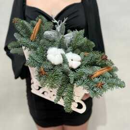 Повозка с хорошим настроением 