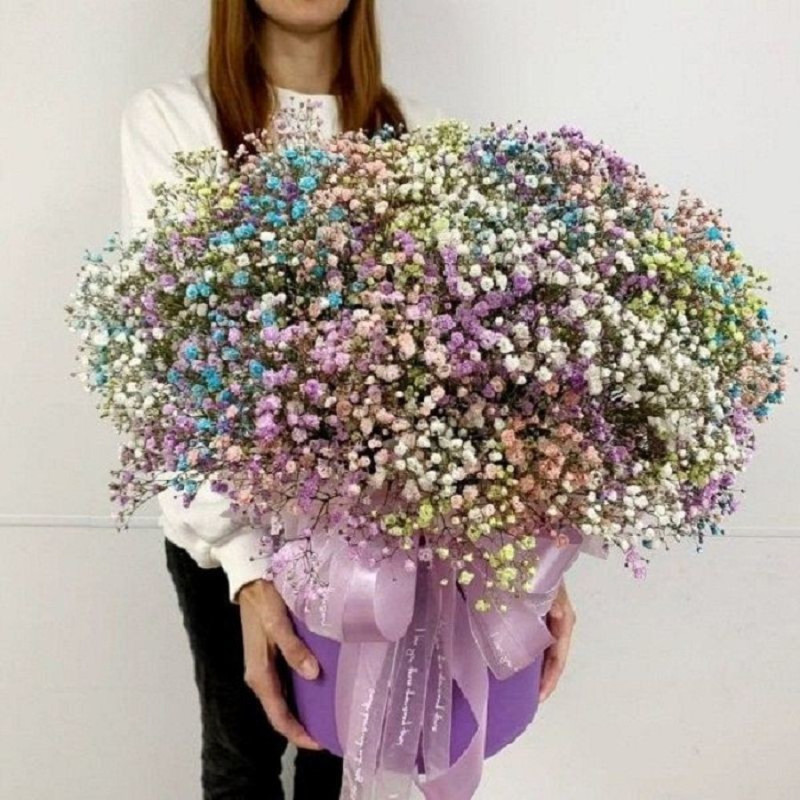 Fejerverk chuvstv, premium